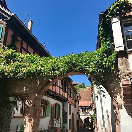 Les Authentics - La Maison D'Amelie Riquewihr Luaran gambar