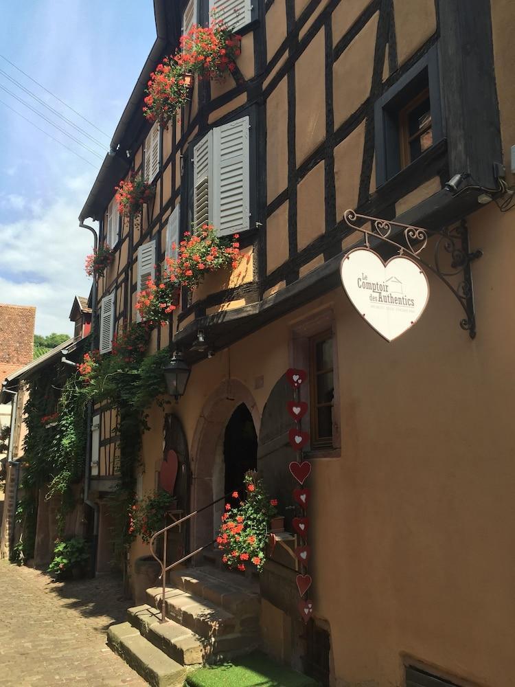 Les Authentics - La Maison D'Amelie Riquewihr Luaran gambar