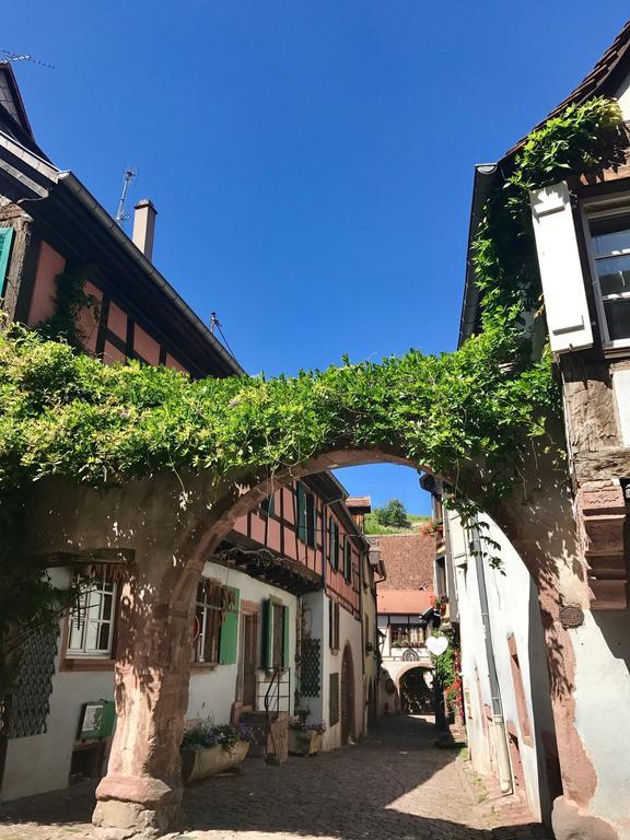 Les Authentics - La Maison D'Amelie Riquewihr Luaran gambar