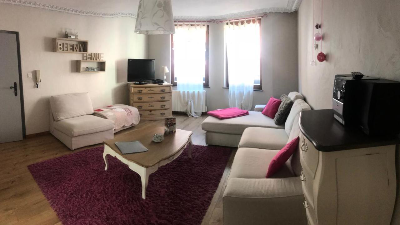 Les Authentics - La Maison D'Amelie Riquewihr Luaran gambar
